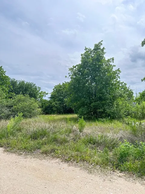 138 Wild Bird Loop