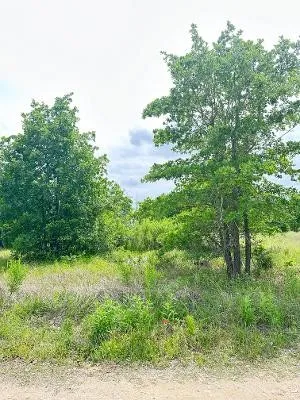 138 Wild Bird Loop Smithville, TX 78957