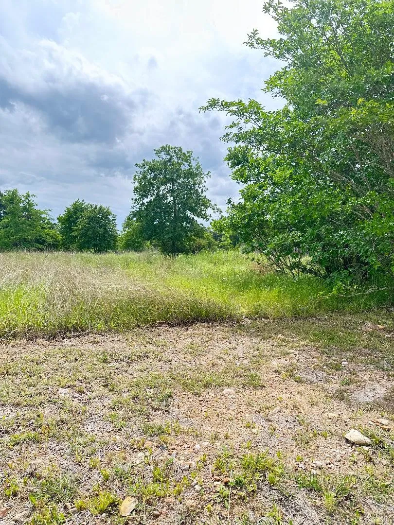 138 Wild Bird Loop Smithville, TX 78957