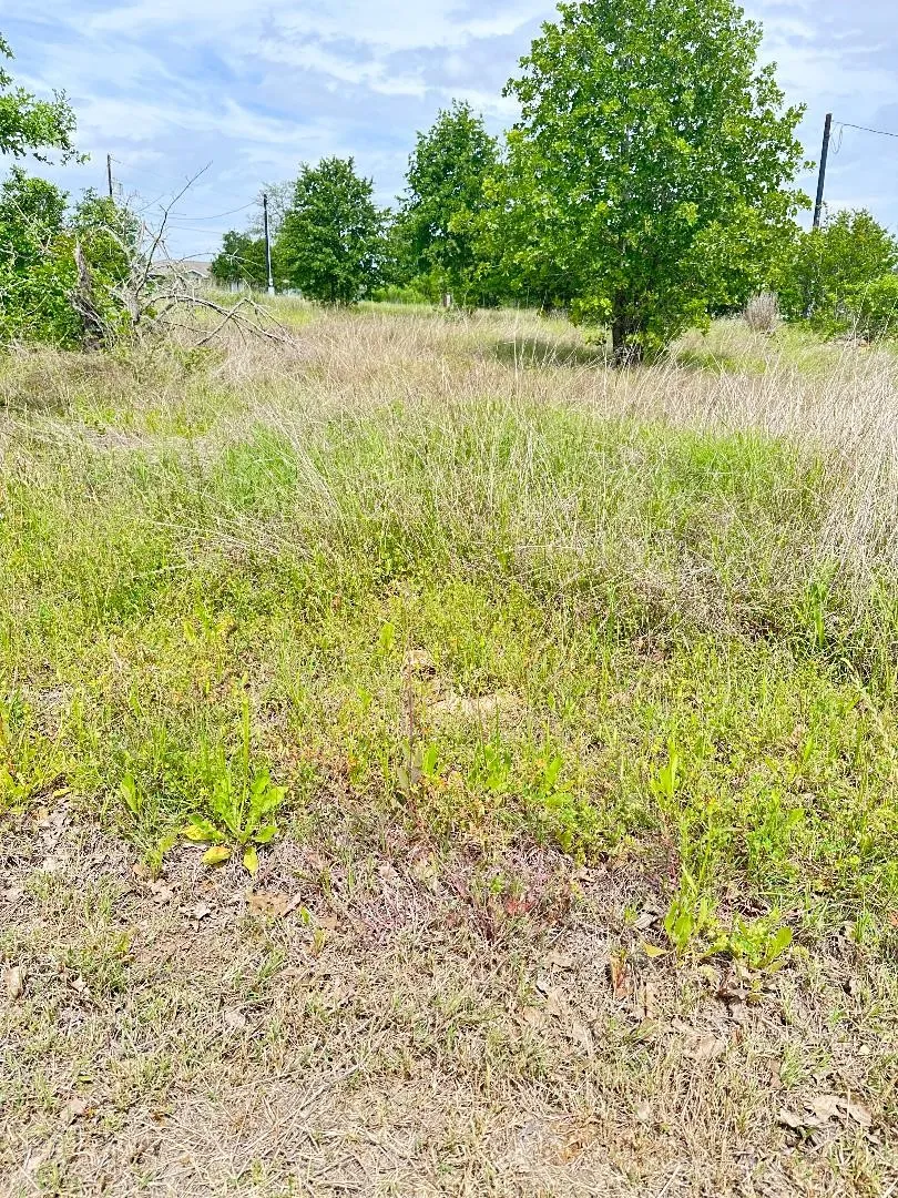 138 Wild Bird Loop Smithville, TX 78957