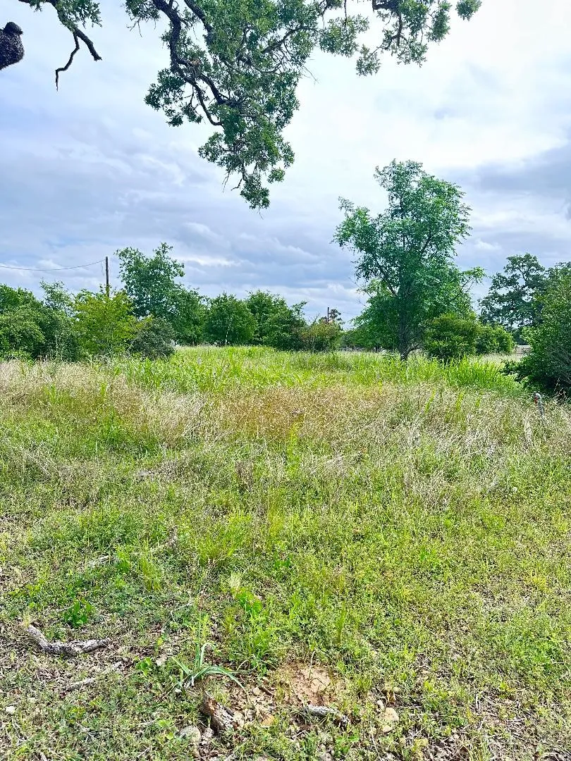 138 Wild Bird Loop Smithville, TX 78957
