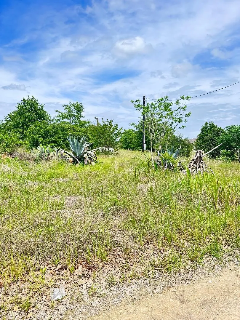 136 Wild Bird Loop Smithville, TX 78957