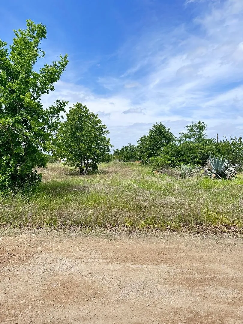 136 Wild Bird Loop Smithville, TX 78957