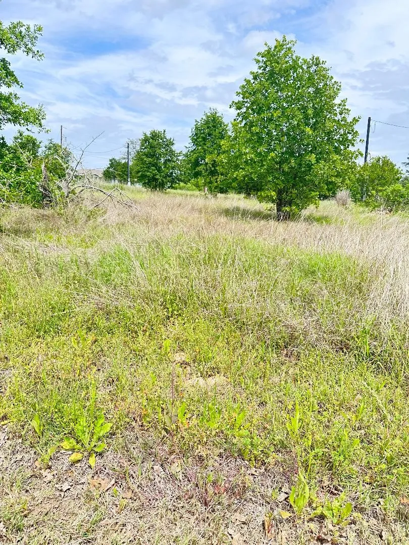 136 Wild Bird Loop Smithville, TX 78957