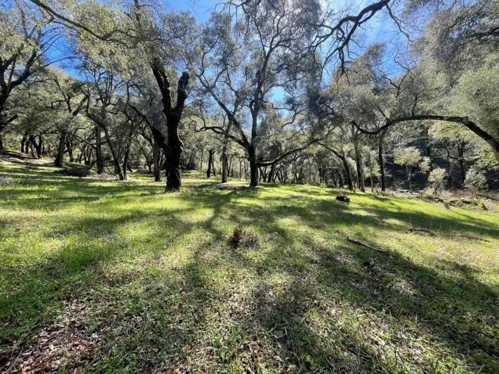 10 Garzas Trail Carmel, CA 93923