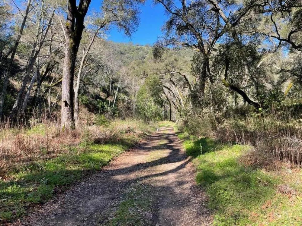 10 Garzas Trail Carmel, CA 93923