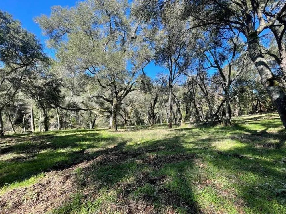 10 Garzas Trail Carmel, CA 93923