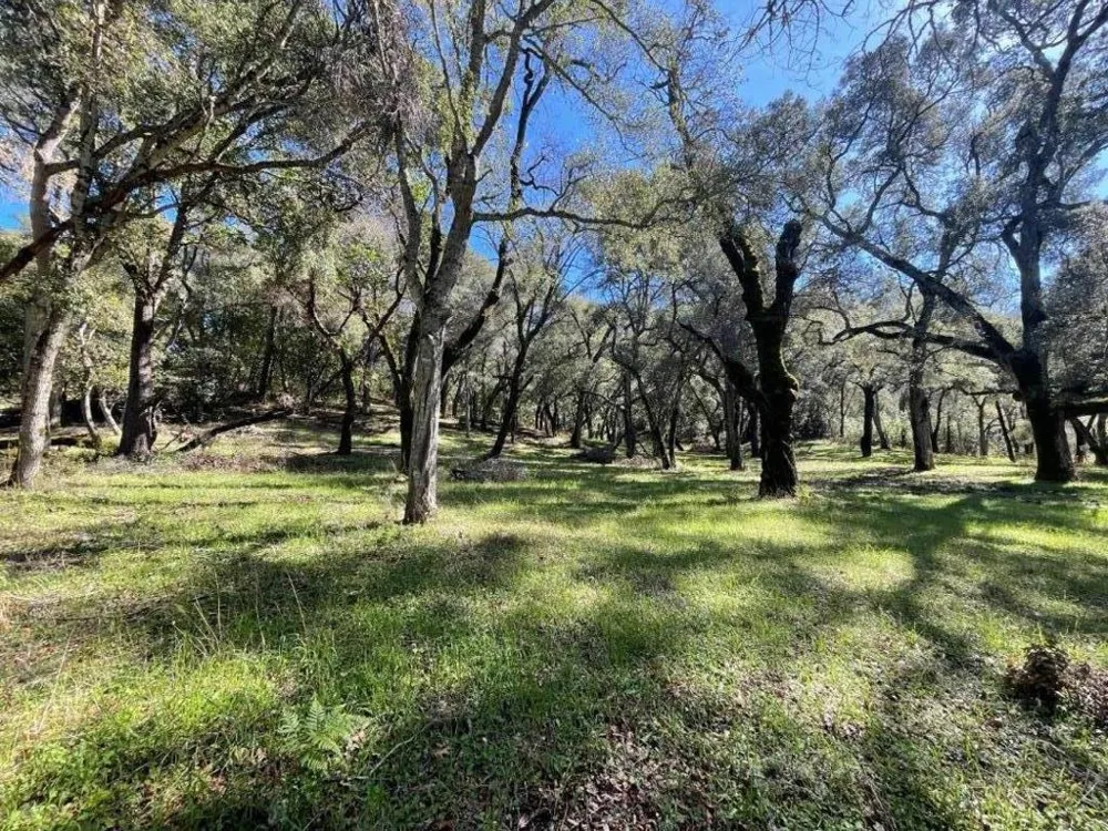 10 Garzas Trail Carmel, CA 93923