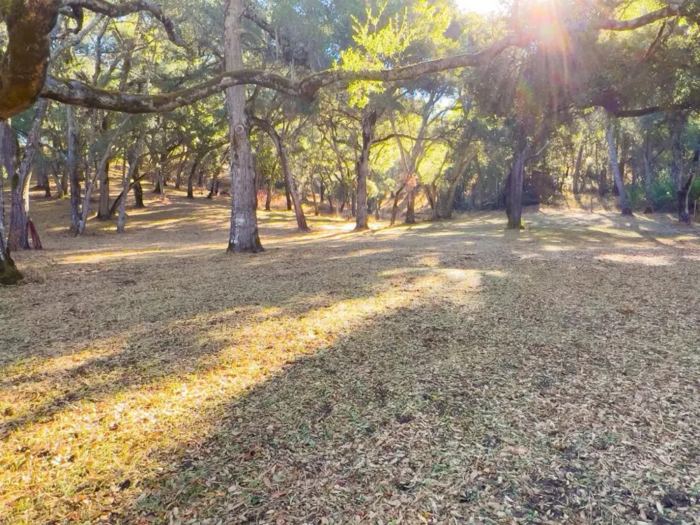 10 Garzas Trail Carmel, CA 93923