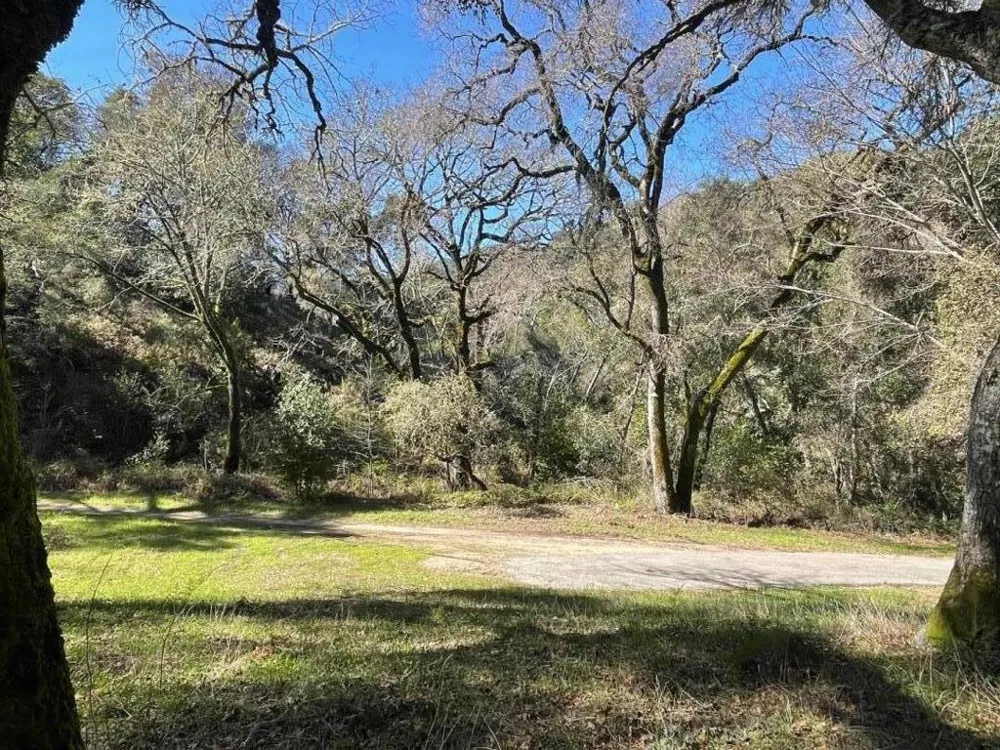 10 Garzas Trail Carmel, CA 93923