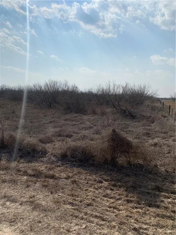 0 CR 218 ROAD Falfurrias, TX 78355