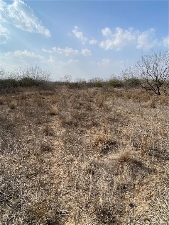 0 CR 218 ROAD Falfurrias, TX 78355