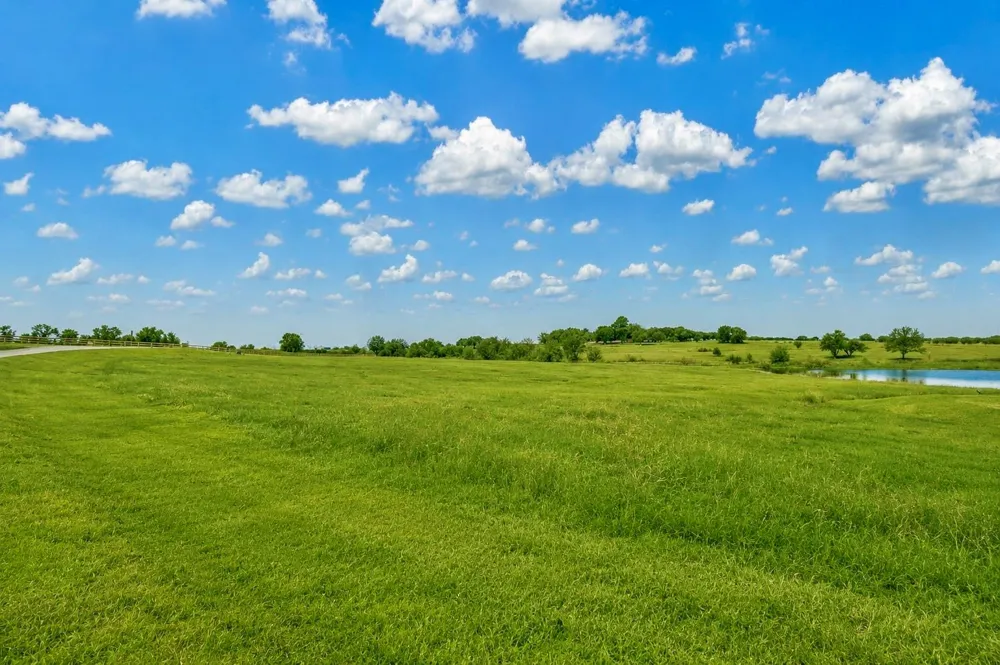 1549 Bluebonnet Ridge Drive Chappell Hill, TX 77426
