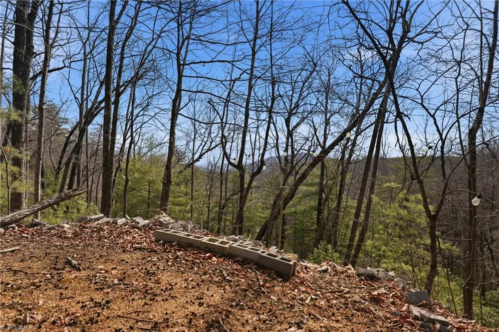 840 Summit Ridge Road Purlear, NC 28665