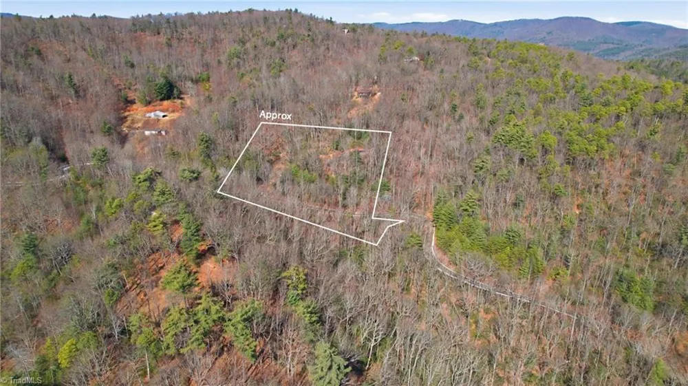 840 Summit Ridge Road Purlear, NC 28665