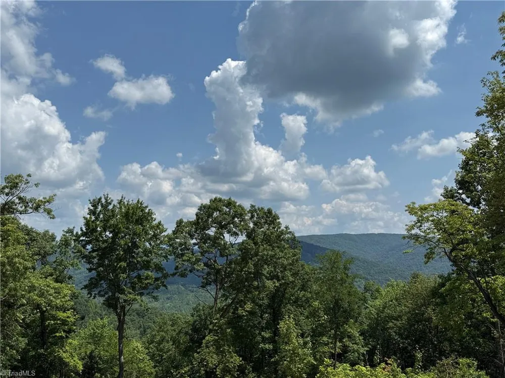 337 Lucas Path Drive Purlear, NC 28665
