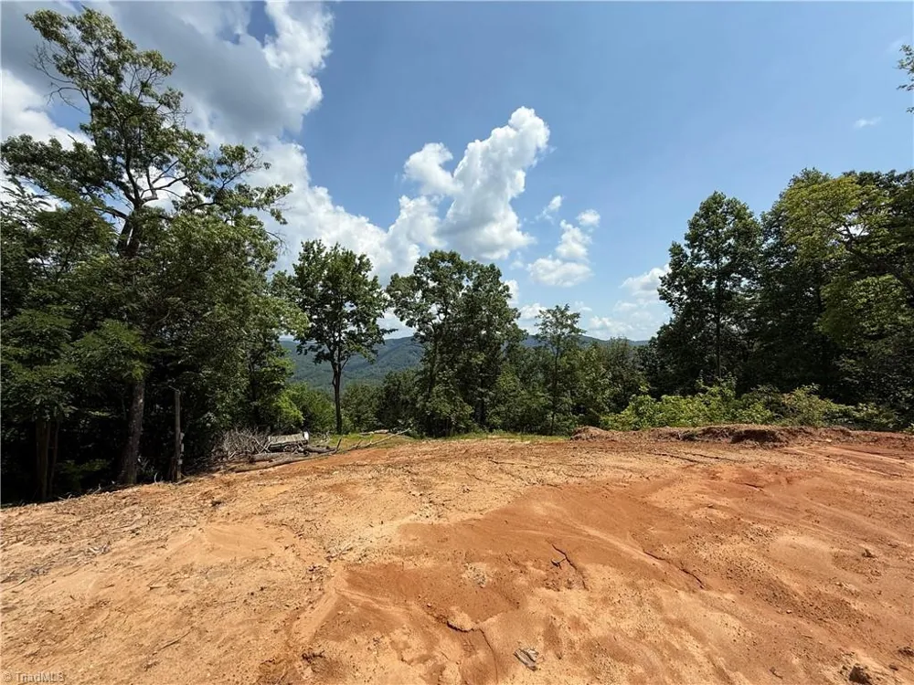 337 Lucas Path Drive Purlear, NC 28665