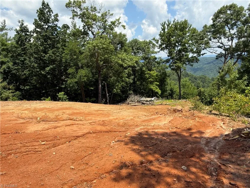 337 Lucas Path Drive Purlear, NC 28665