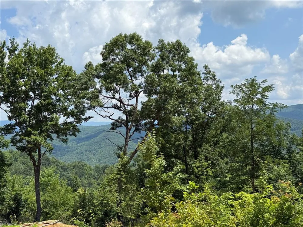 337 Lucas Path Drive Purlear, NC 28665