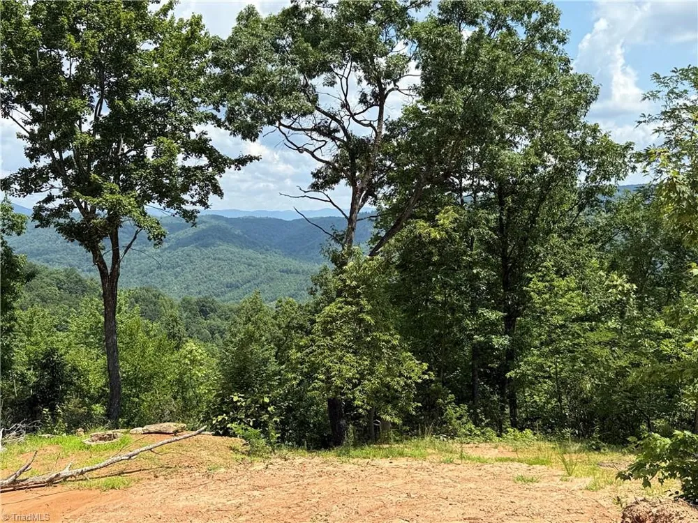 337 Lucas Path Drive Purlear, NC 28665