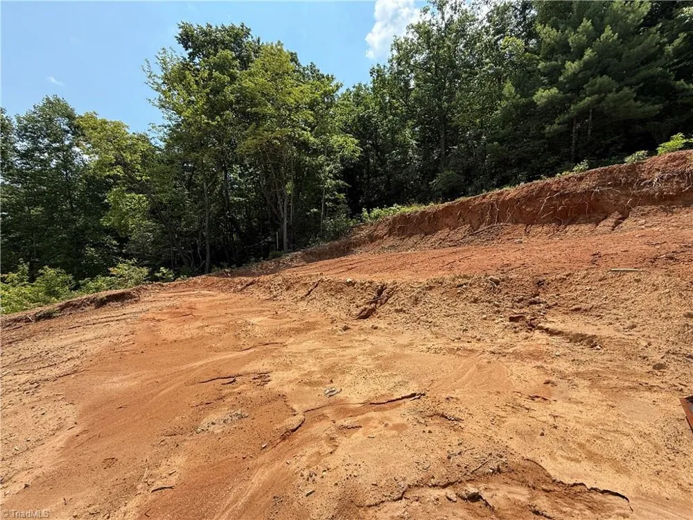 337 Lucas Path Drive Purlear, NC 28665