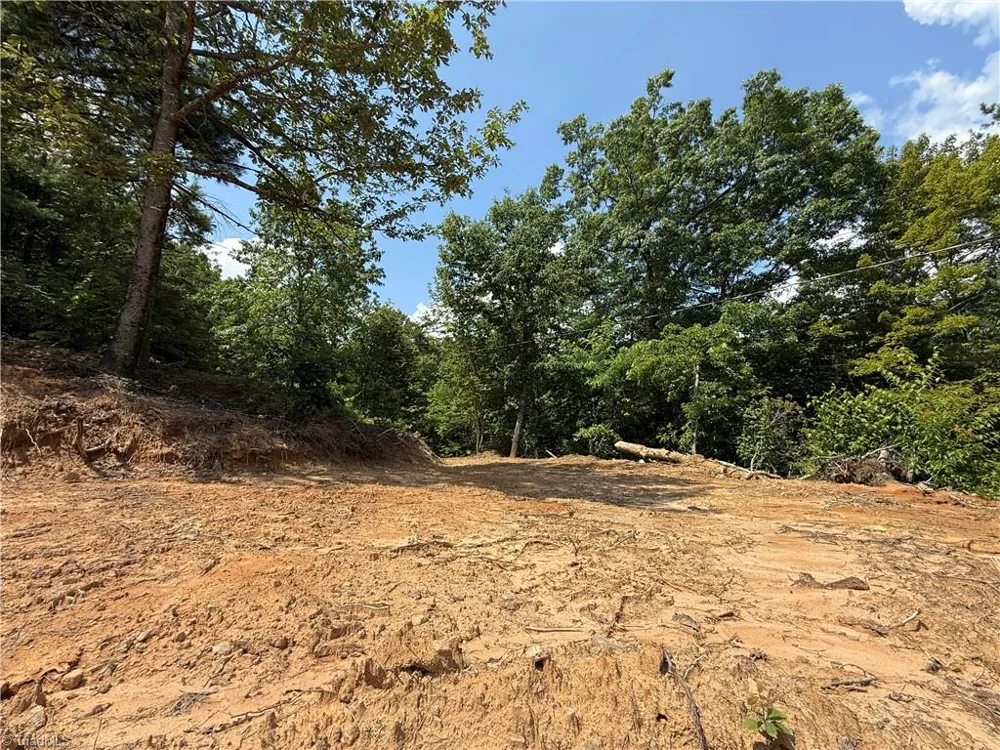 337 Lucas Path Drive Purlear, NC 28665