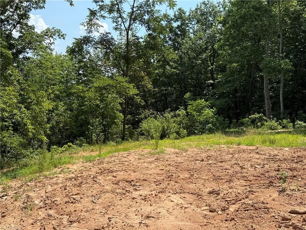 337 Lucas Path Drive Purlear, NC 28665