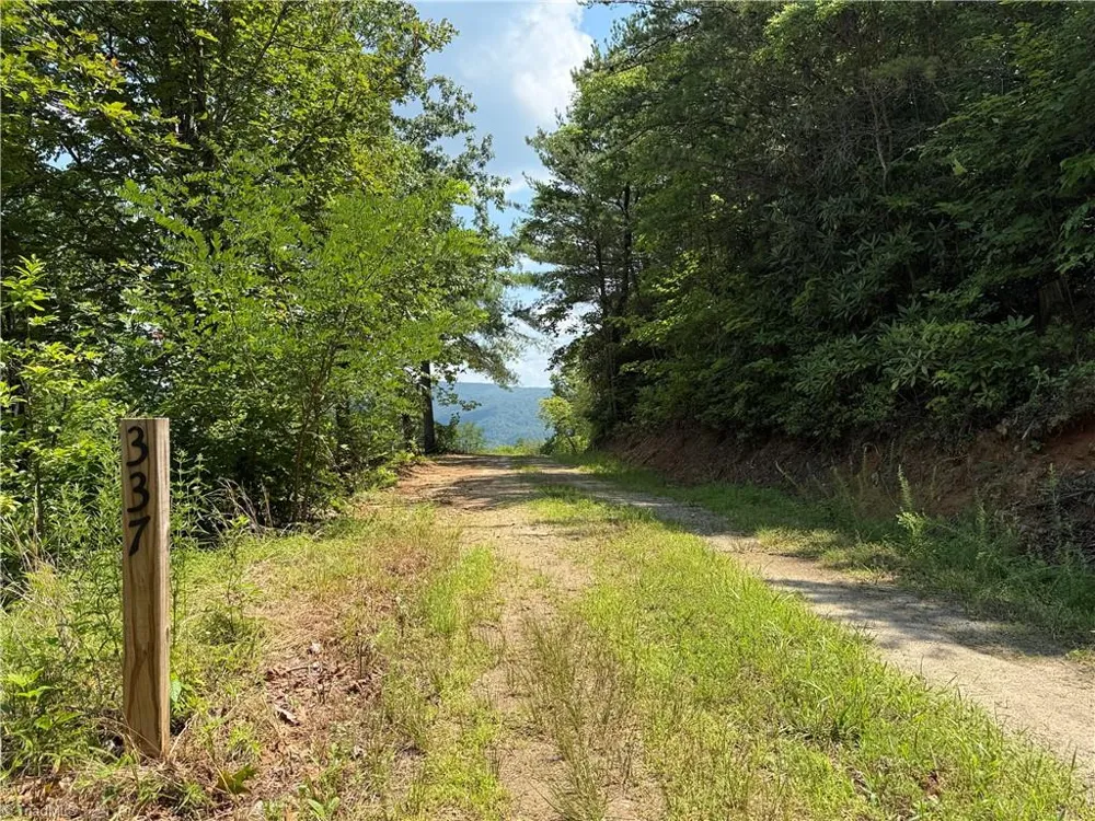 337 Lucas Path Drive Purlear, NC 28665