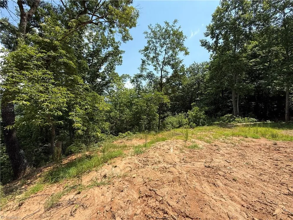 337 Lucas Path Drive Purlear, NC 28665