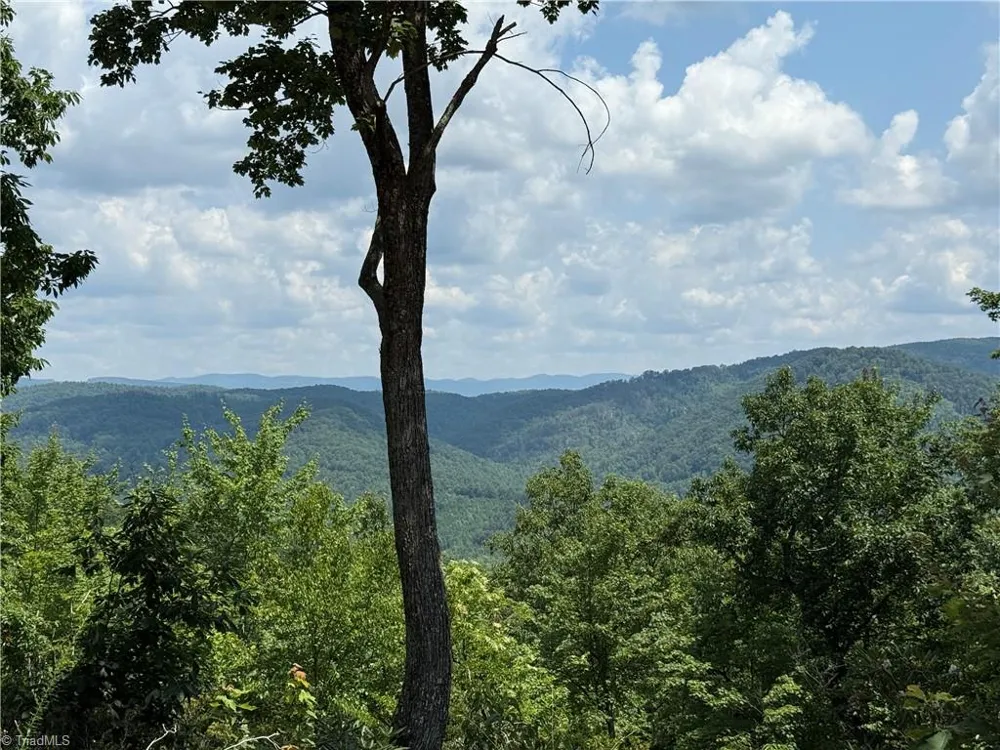 337 Lucas Path Drive Purlear, NC 28665