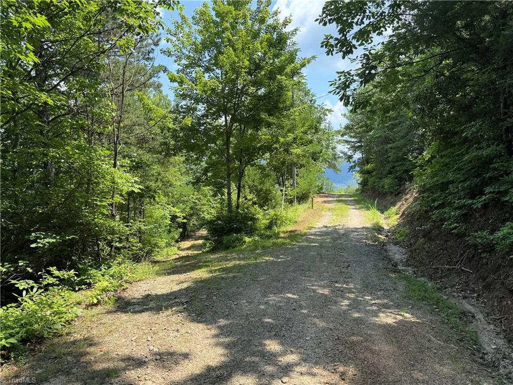 337 Lucas Path Drive Purlear, NC 28665