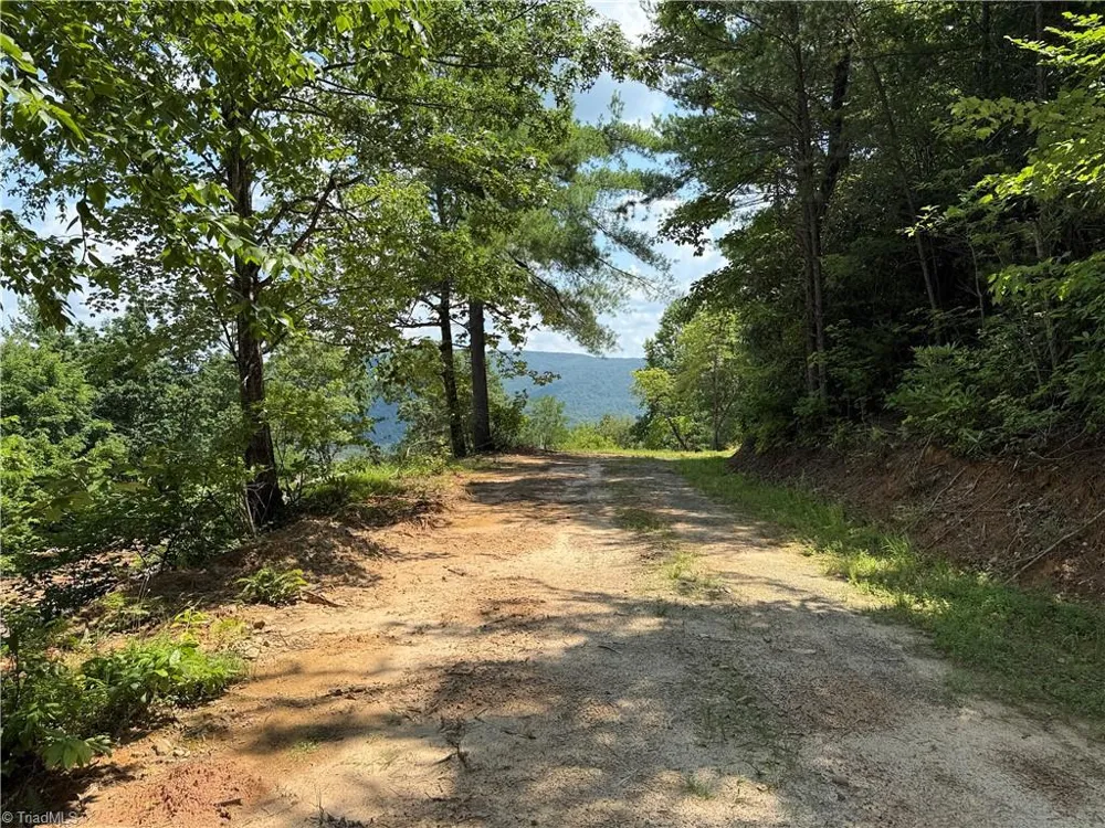 337 Lucas Path Drive Purlear, NC 28665