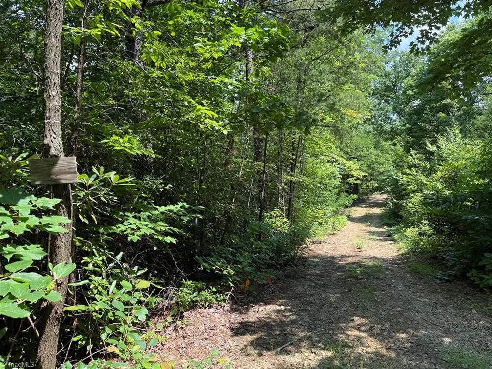 337 Lucas Path Drive Purlear, NC 28665
