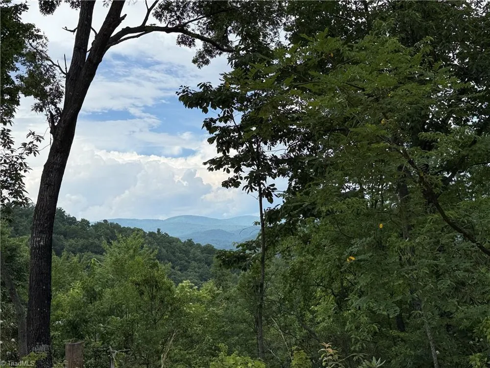 337 Lucas Path Drive Purlear, NC 28665