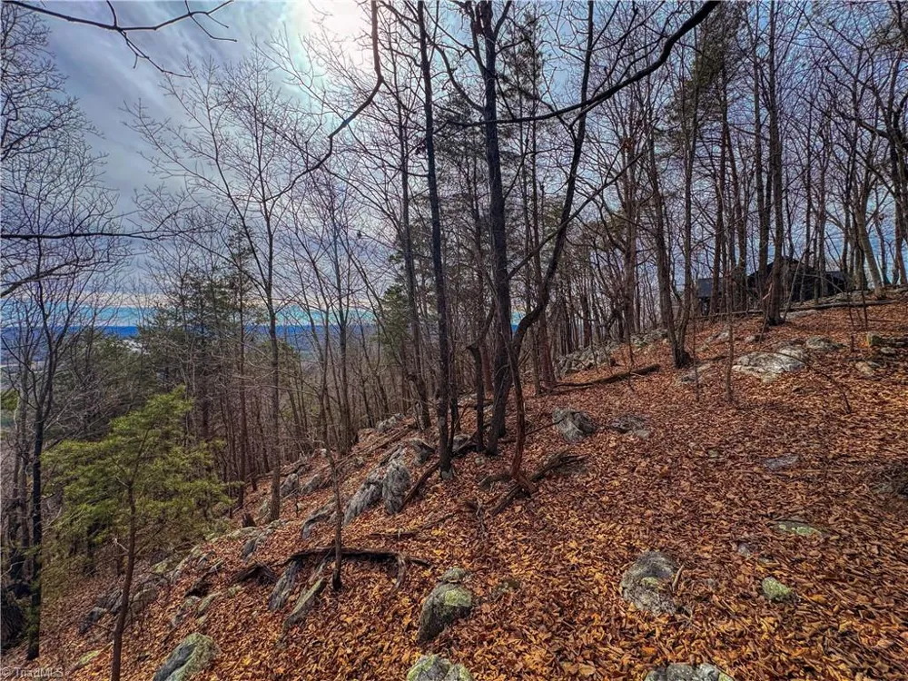 1026 Sierra Trace Road Denton, NC 27239