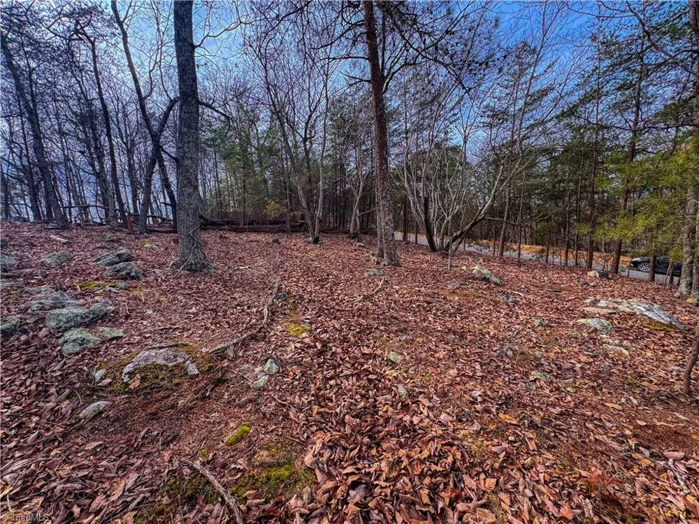 1026 Sierra Trace Road Denton, NC 27239