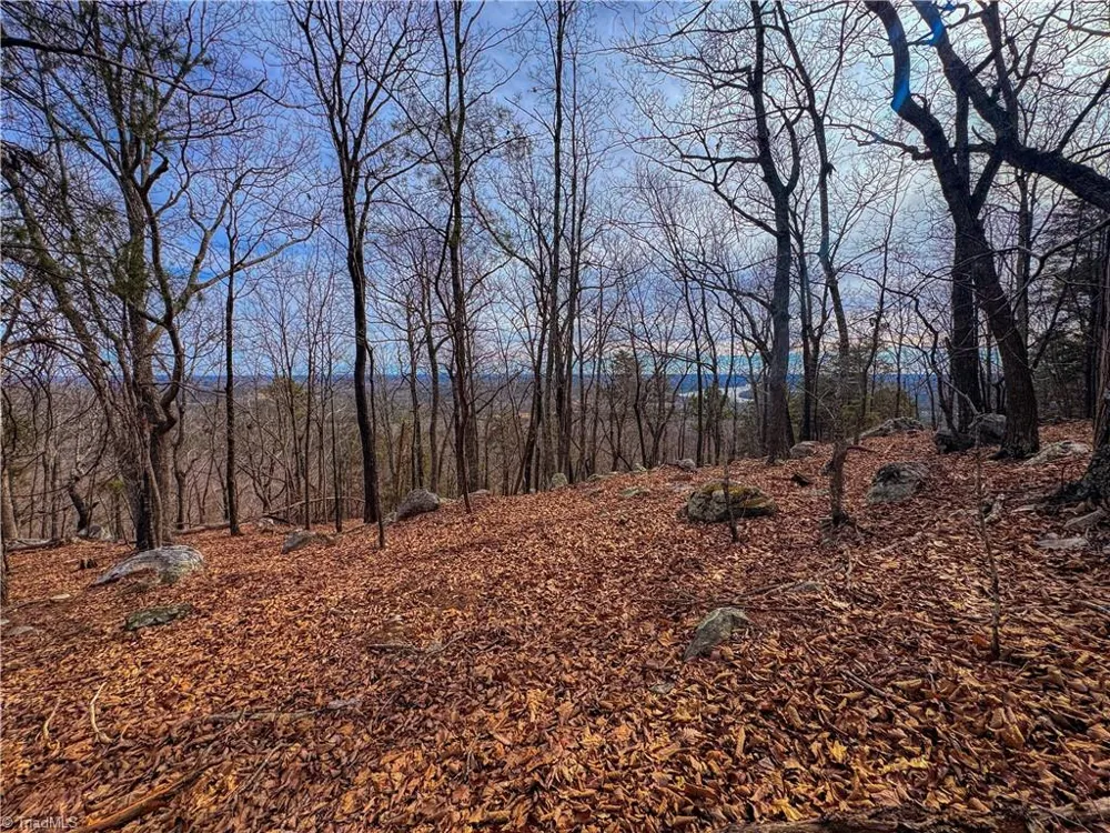 1026 Sierra Trace Road Denton, NC 27239