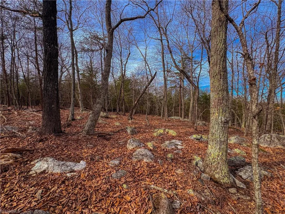 1026 Sierra Trace Road Denton, NC 27239