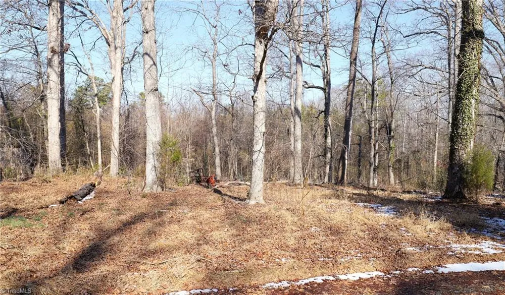 2669 Wagon Trail Pfafftown, NC 27040