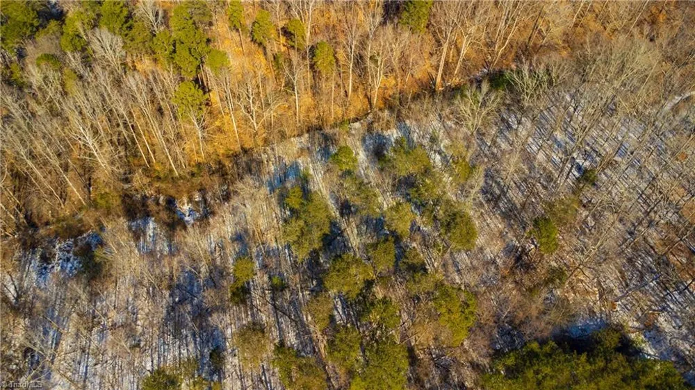 2669 Wagon Trail Pfafftown, NC 27040