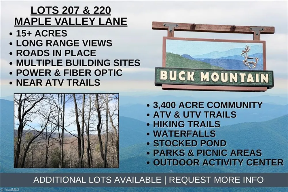 Lots 207 & 220 Maple Valley Lane Purlear, NC 28665