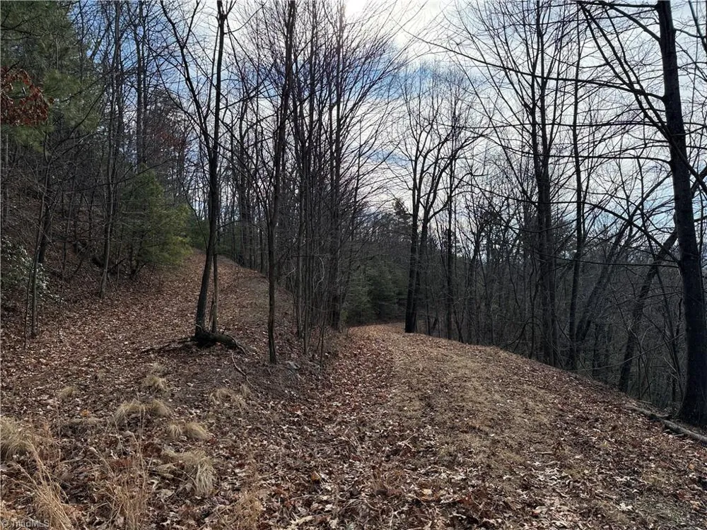 Lots 207 & 220 Maple Valley Lane Purlear, NC 28665