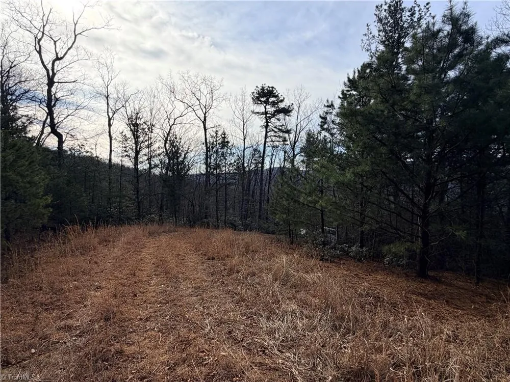 Lots 207 & 220 Maple Valley Lane Purlear, NC 28665