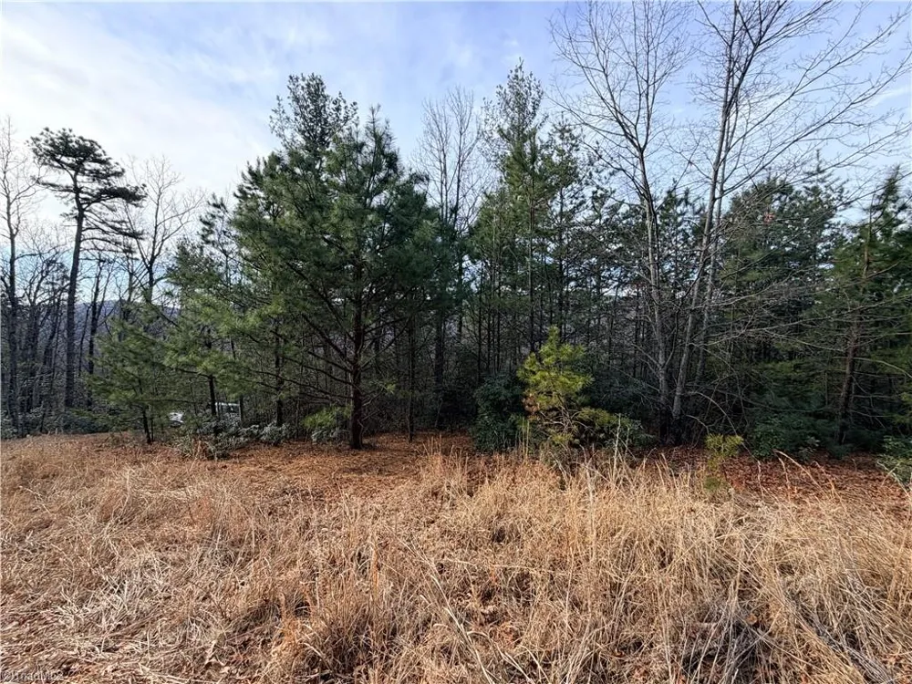Lots 207 & 220 Maple Valley Lane Purlear, NC 28665