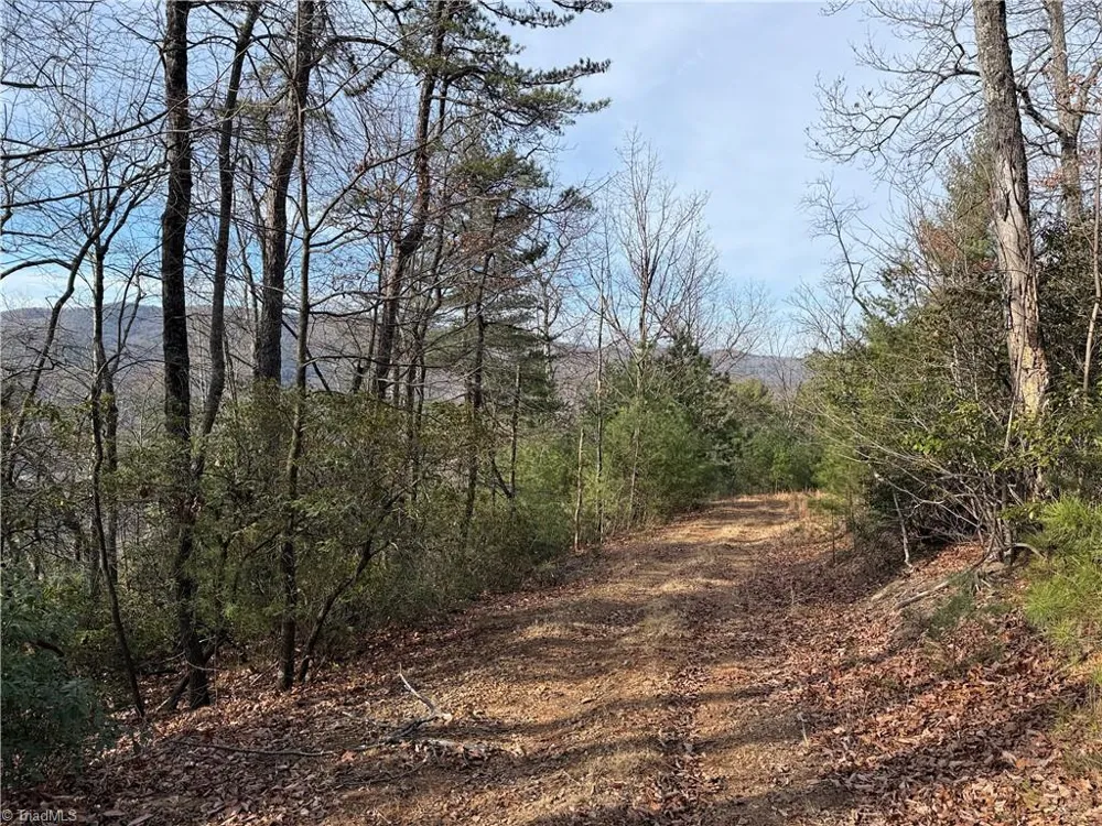 Lots 207 & 220 Maple Valley Lane Purlear, NC 28665