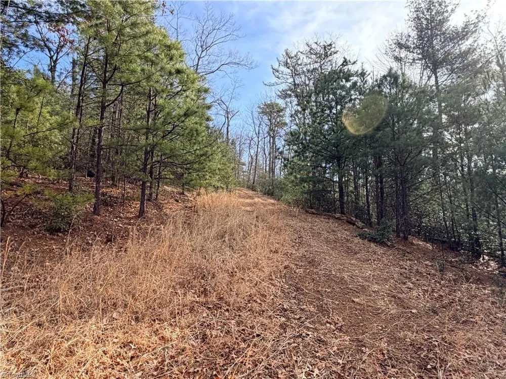 Lots 207 & 220 Maple Valley Lane Purlear, NC 28665