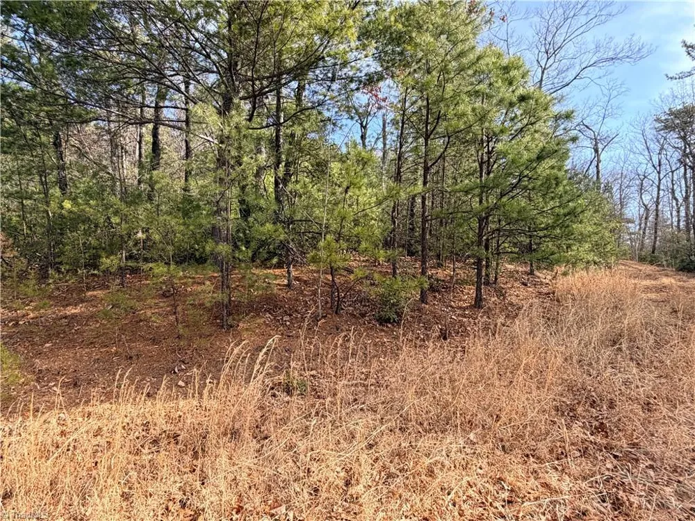 Lots 207 & 220 Maple Valley Lane Purlear, NC 28665