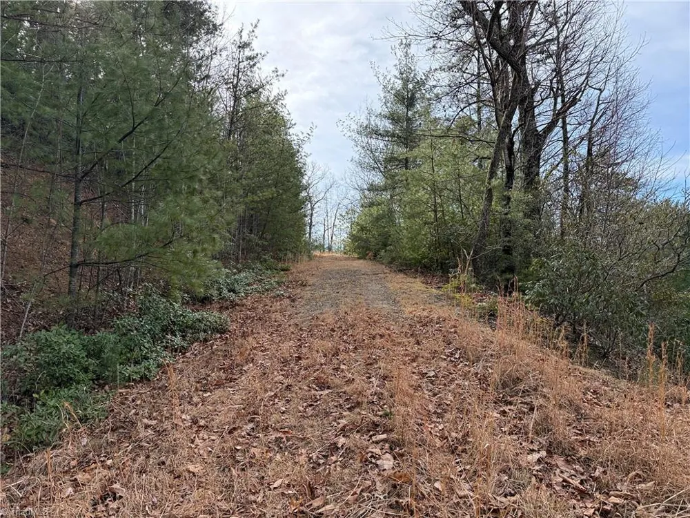 Lots 207 & 220 Maple Valley Lane Purlear, NC 28665