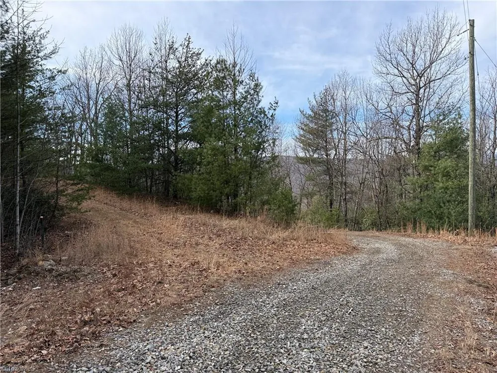 Lots 207 & 220 Maple Valley Lane Purlear, NC 28665