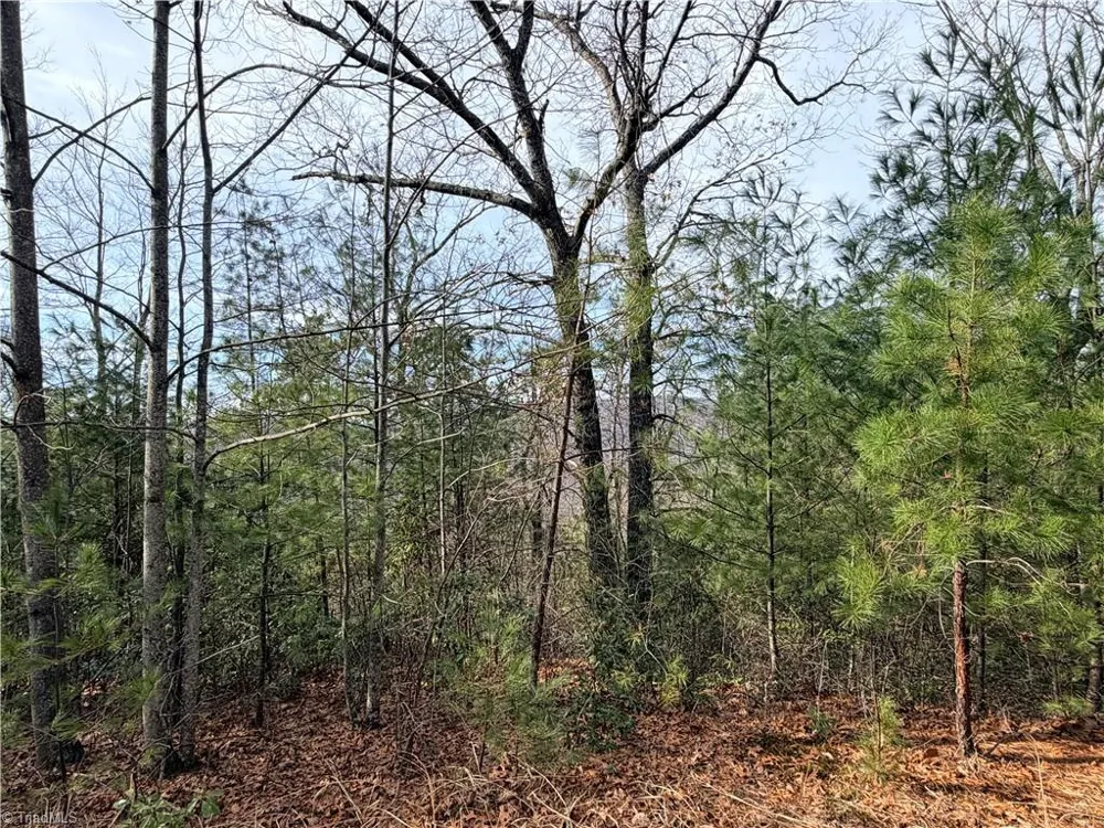 Lots 207 & 220 Maple Valley Lane Purlear, NC 28665